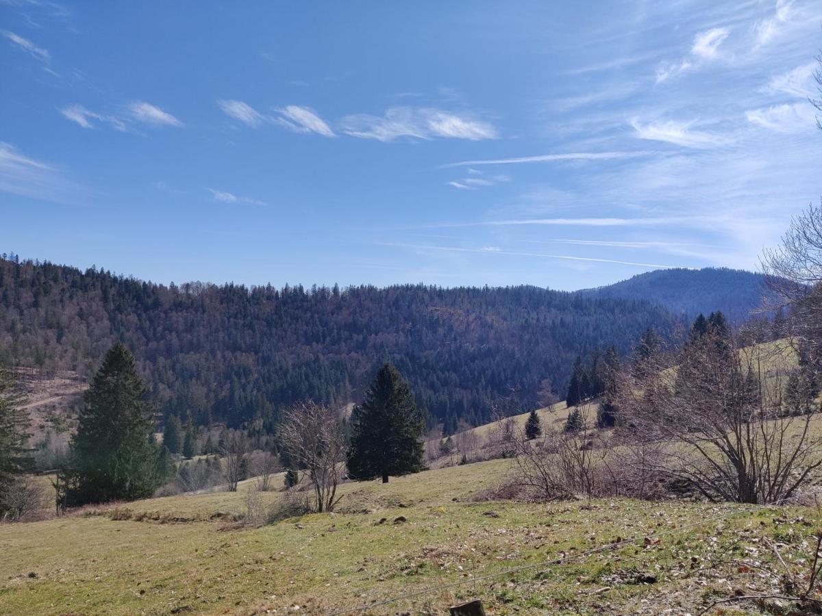 Berggasthaus Prager Boden Todtnau Zewnętrze zdjęcie