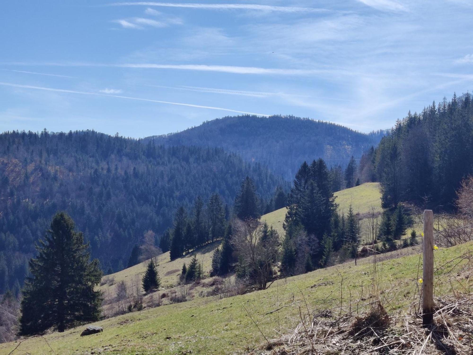 Berggasthaus Prager Boden Todtnau Zewnętrze zdjęcie