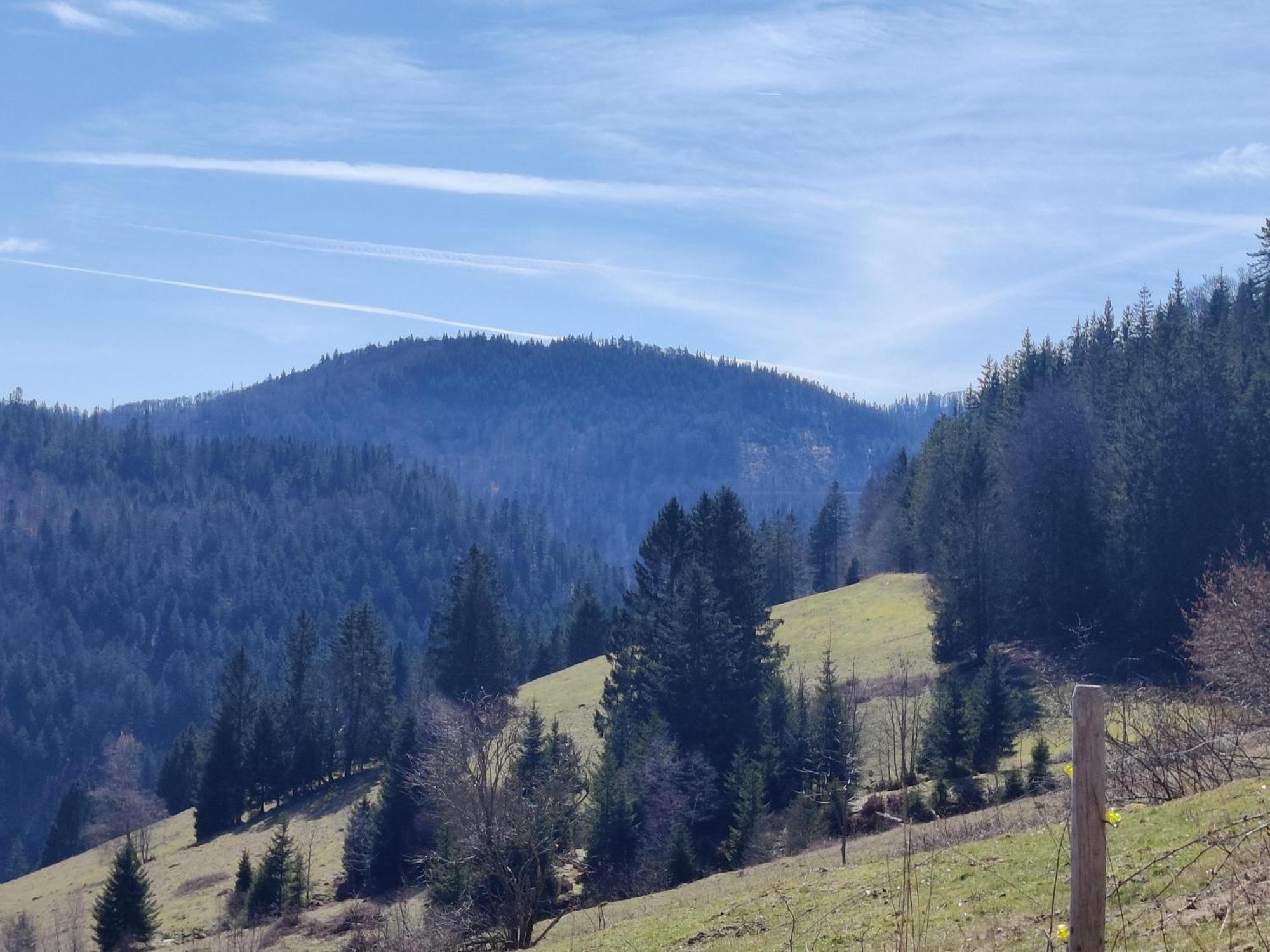 Berggasthaus Prager Boden Todtnau Zewnętrze zdjęcie