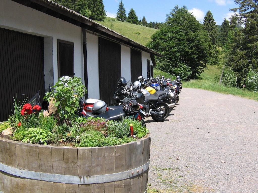 Berggasthaus Prager Boden Todtnau Zewnętrze zdjęcie