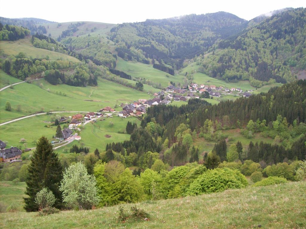 Berggasthaus Prager Boden Todtnau Zewnętrze zdjęcie